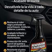 Renovador de plasticos PARTES NEGRAS